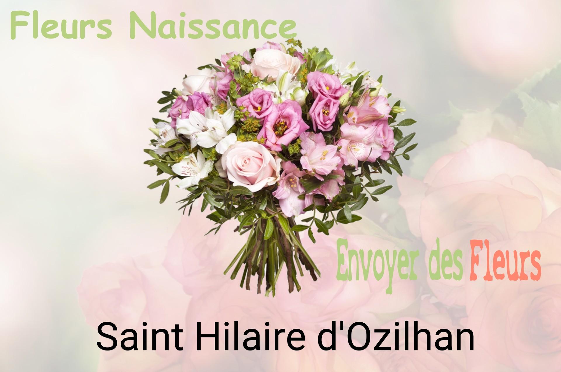 Bouquet de fleurs de naissance livré à Saint-Hilaire-d'Ozilhan