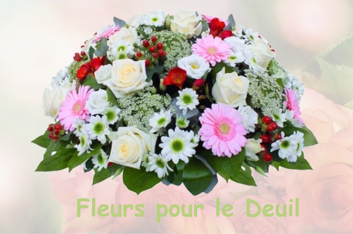 fleurs deuil SAINT-HILAIRE-D-OZILHAN