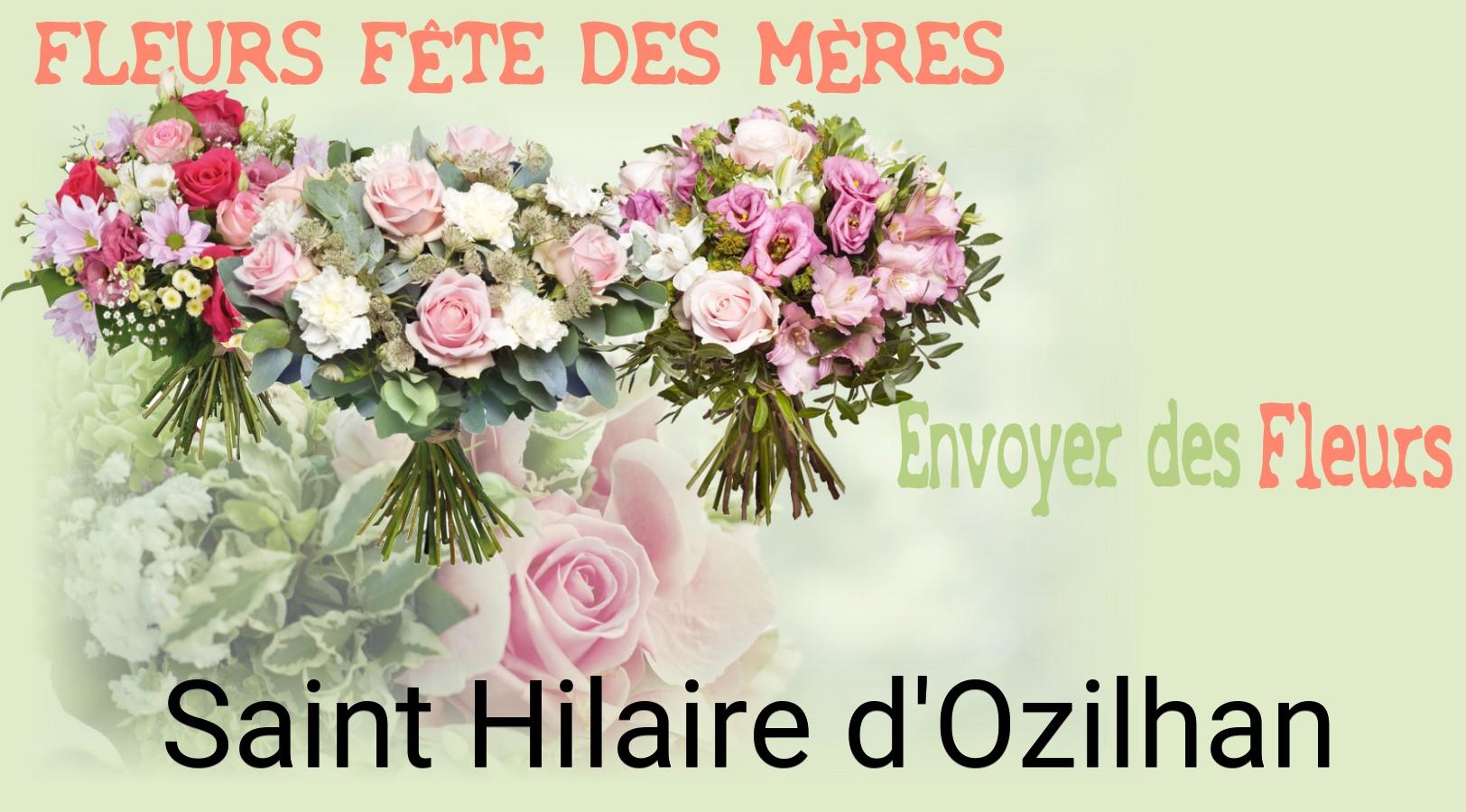 Bouquet de Fête des Mères livré à Saint-Hilaire-d'Ozilhan